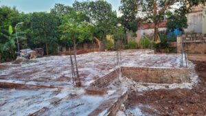 phòng chống mối nền móng