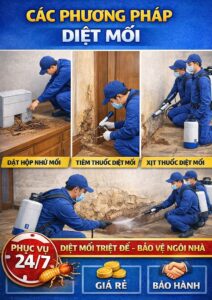 các phương pháp diệt mối hiện nay
