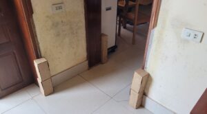 diệt mối-đặt hộp nhử mối