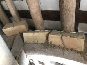 diệt mối tận gốc ở tiền hải-đặt hộp nhử mối