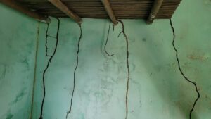 dấu hiệu nhà bị mối tại Đông Hưng – đường mui mối bò trên tường