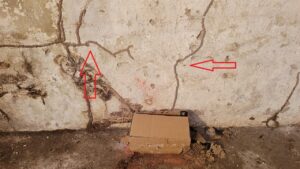 dấu hiệu nhà bị mối tại Kiến Xương – đường mui mối bò trên tường