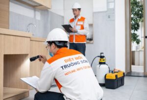 kỹ thuật viên khảo sát hiện trạng mối