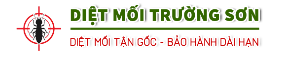Diệt Mối Trường Sơn | diệt mối tận gốc-bảo hành dài hạn