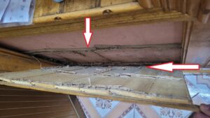 mối ăn âm thầm bên trong gỗ-diệt mối tận gốc ở mỹ lộc