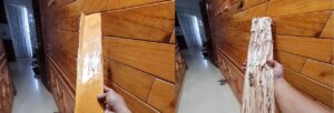 mối ăn từ bên trong gỗ