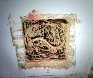 Mối ăn bên trong ổ điện gây chập cháy ở Nam Trực