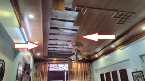 mối đất phá hoại nhà ở tại Nam Định