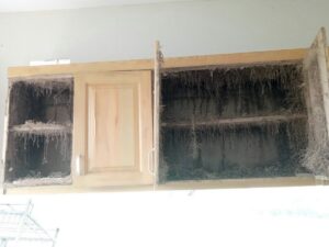 tủ bếp bị mối phá nát-buộc phải thay mới