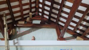 quy trình diệt mối sinh học tại Kiến Xương không đục phá công trình