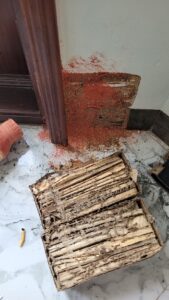 Thi công diệt mối tận gốc tại nhà dân ở Nam Trực