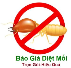 báo giá diệt mối tận gốc