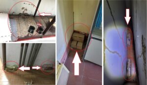 Mối nhà phát sinh từ nền nhà ẩm tại nhà dân ở Vũ Thư, Thái Bình