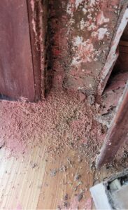 diệt mối nhà dân hà nam-cho mối ăn thuốc lây nhiễm