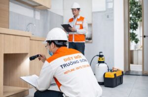 Diệt mối tại Hà Nội cho nhà ở và công trình xây trên nền đất phức tạp