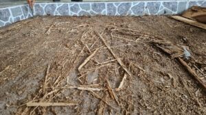 Những khu vực tại Thái Bình dễ xuất hiện mối trong nhà