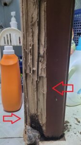 khung cửa nhà tắm bị mối ăn mất 1 nửa ở ven sông Đáy - Hà Nam