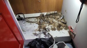 Mối phá hoại gỗ trong nhà tại Hưng Hà Thái Bình