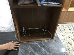 Mùa mối phát triển mạnh tại Nam Định phá hoại nhà ở